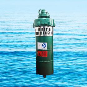QS小型潛水電泵、QST660V特種電泵